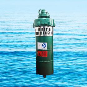QS小型潛水電泵、QST660V特種電泵